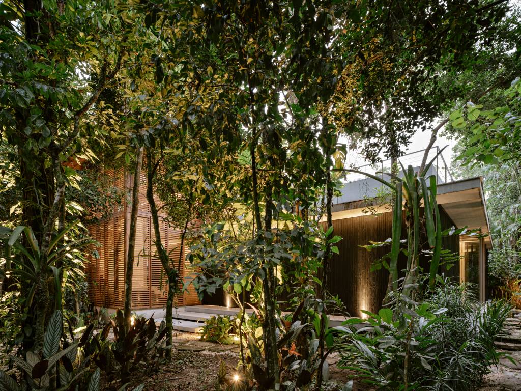 Casa na Mata tem paisagismo composto por mosaico de plantas nativas. Projeto de Jundu Paisagismo.