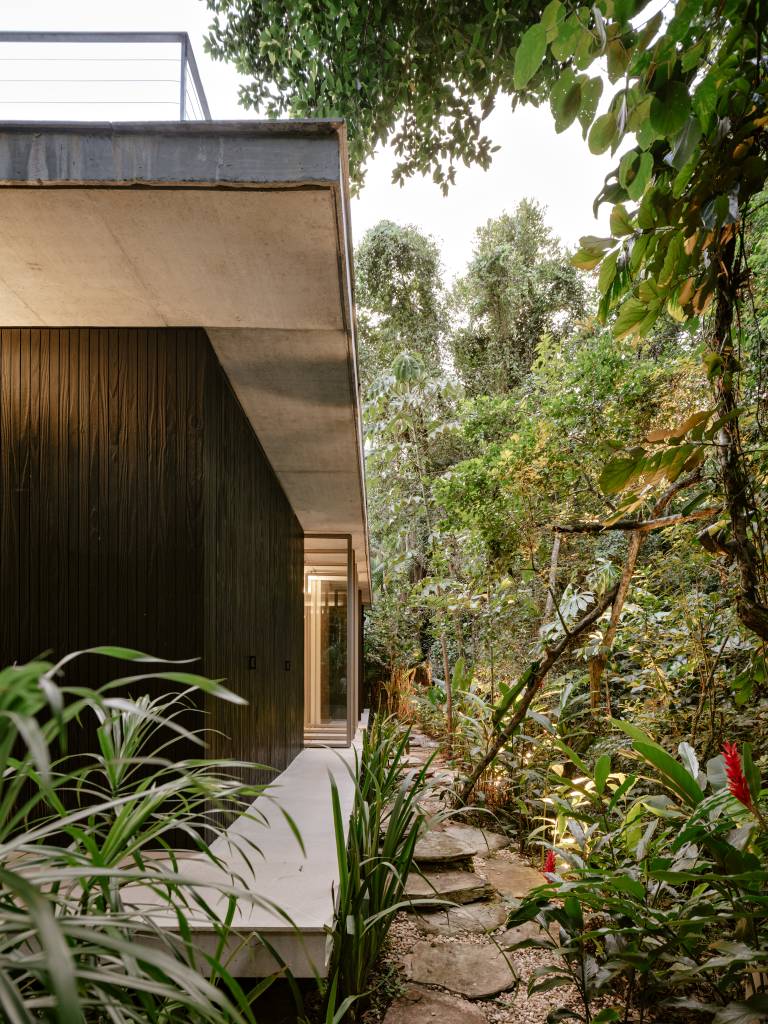 Casa na Mata tem paisagismo composto por mosaico de plantas nativas. Projeto de Jundu Paisagismo.