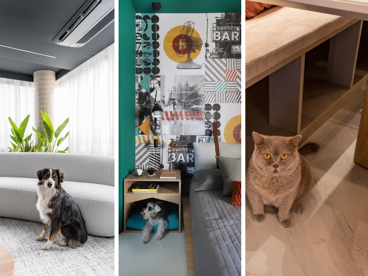 Dia dos Pets: 5 projetos com cantinhos exclusivos para cães e gatos