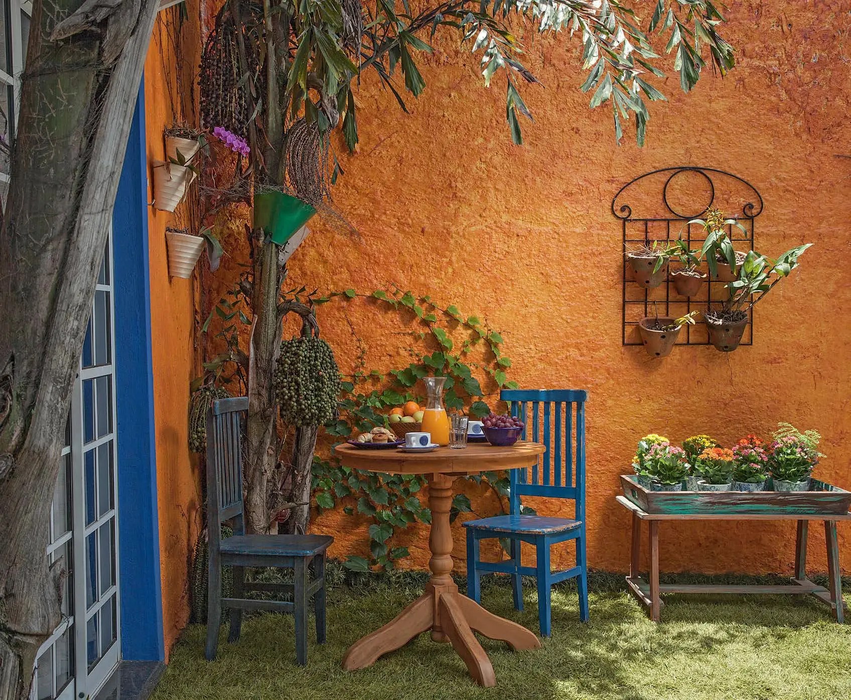 Jardim no quintal e corredor: como criar um oásis verde em casa
