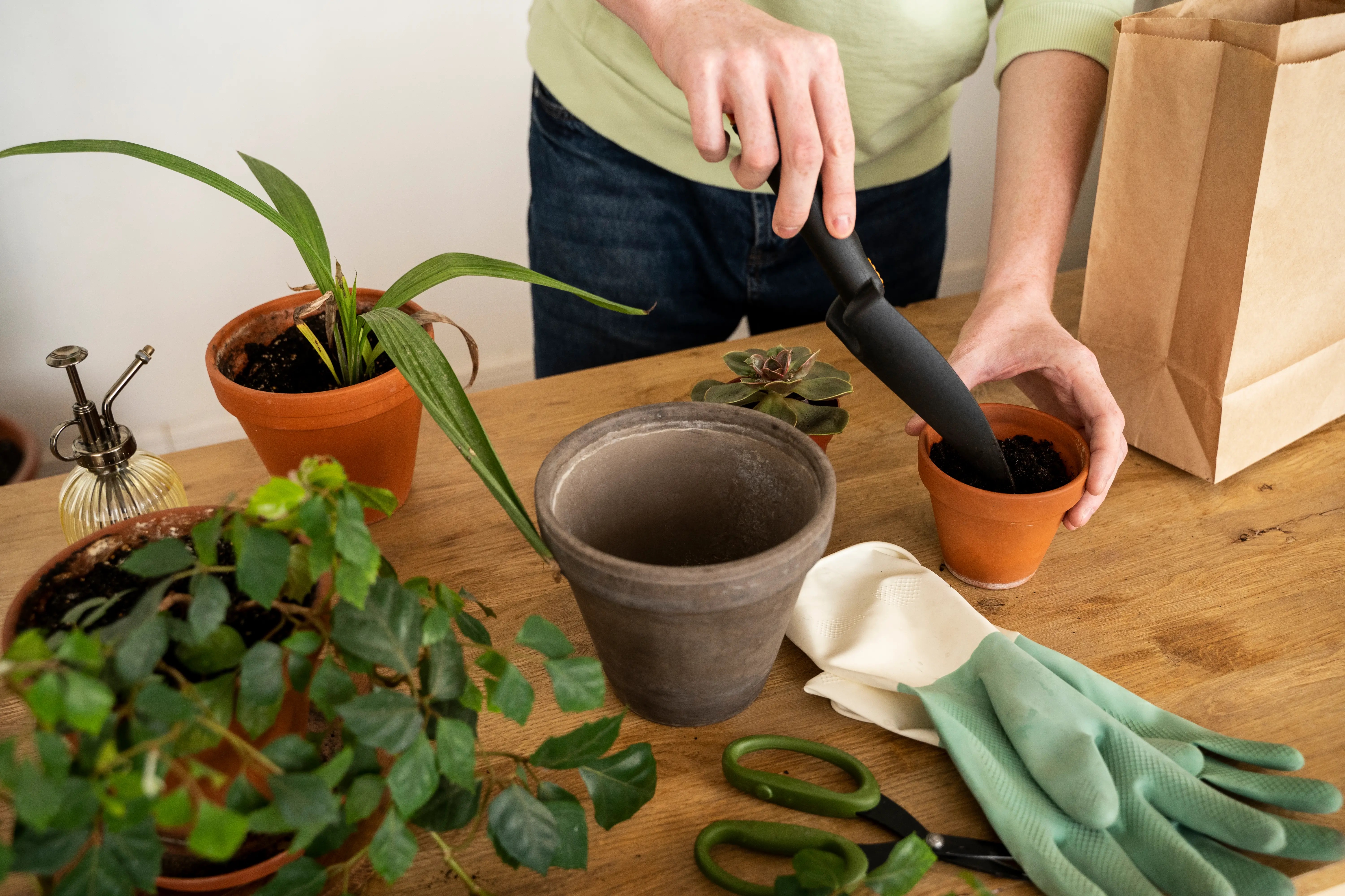 Pessoa em camisa verde e jeans usando uma p&aacute; para colocar terra em um vaso de argila pequeno, sobre uma mesa de madeira com plantas, luvas de jardinagem, tesoura e um saco de papel ao lado